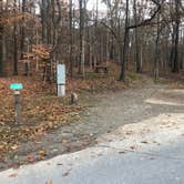 Review photo of Village Creek State Park Campground by Shana D., April 2, 2019