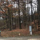 Review photo of Village Creek State Park Campground by Shana D., April 2, 2019