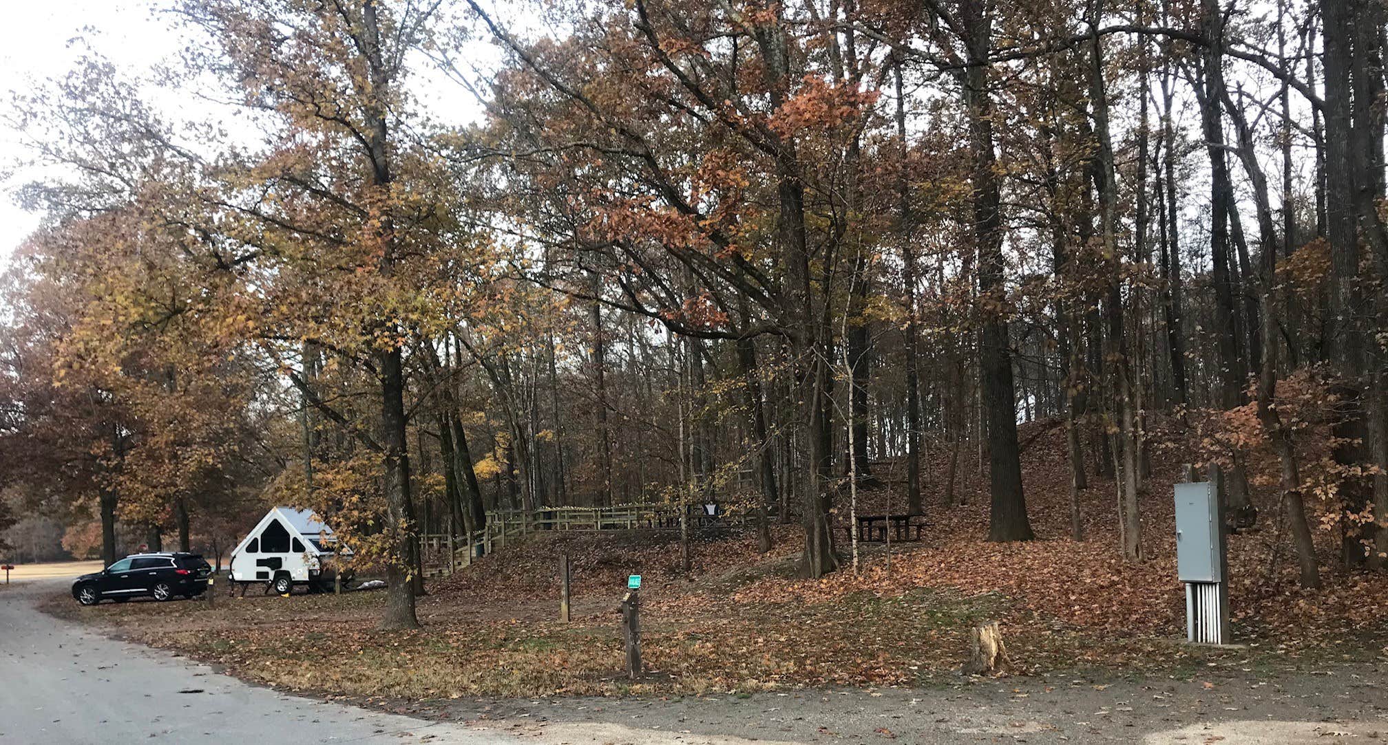 Camper submitted image from Village Creek State Park Campground - 5