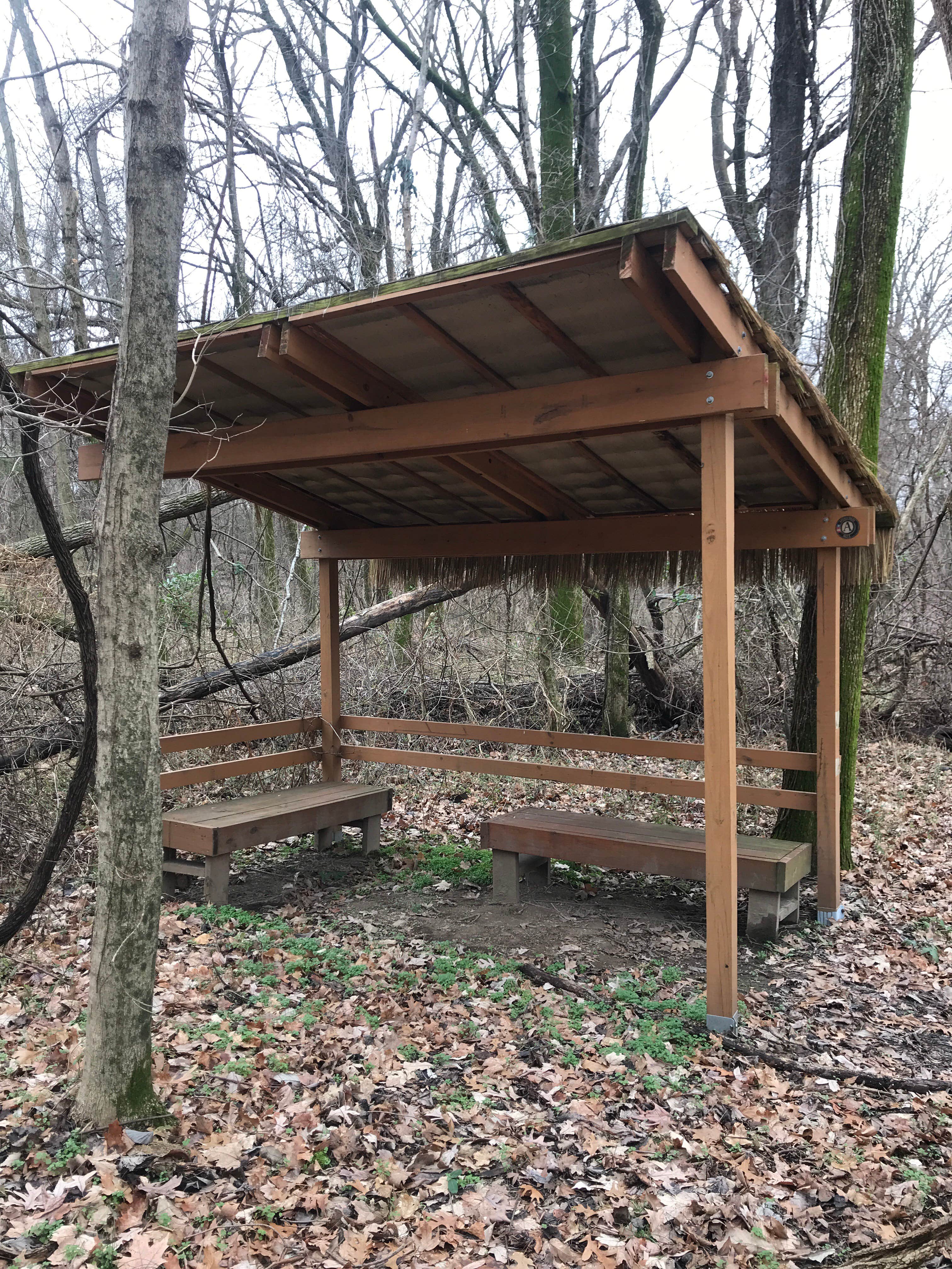 Camper submitted image from T.O. Fuller State Park Campground - 3