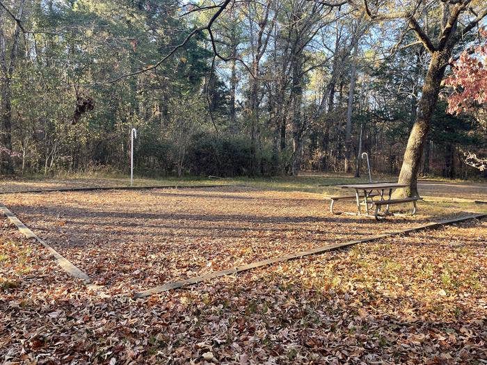 Camper submitted image from Chickamauga Battlefield Group Campground — Chickamauga & Chattanooga National Military Park - 3