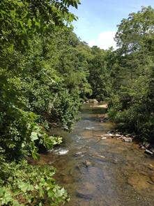 Camper-submitted photo at Raven Cliff Campground — George Washington & Jefferson National Forest near Ivanhoe, VA