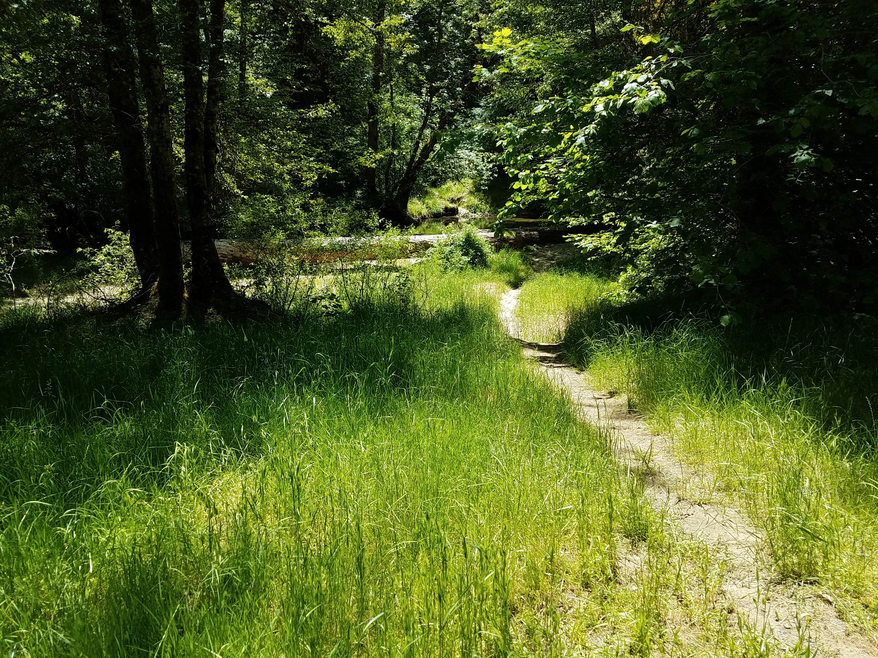 Camper submitted image from Elderberry Flats Campground - 2