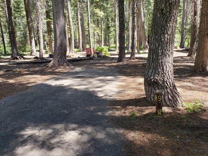 Camper submitted image from Whitehorse Campground - Bucks Lake Recreation Area - 2