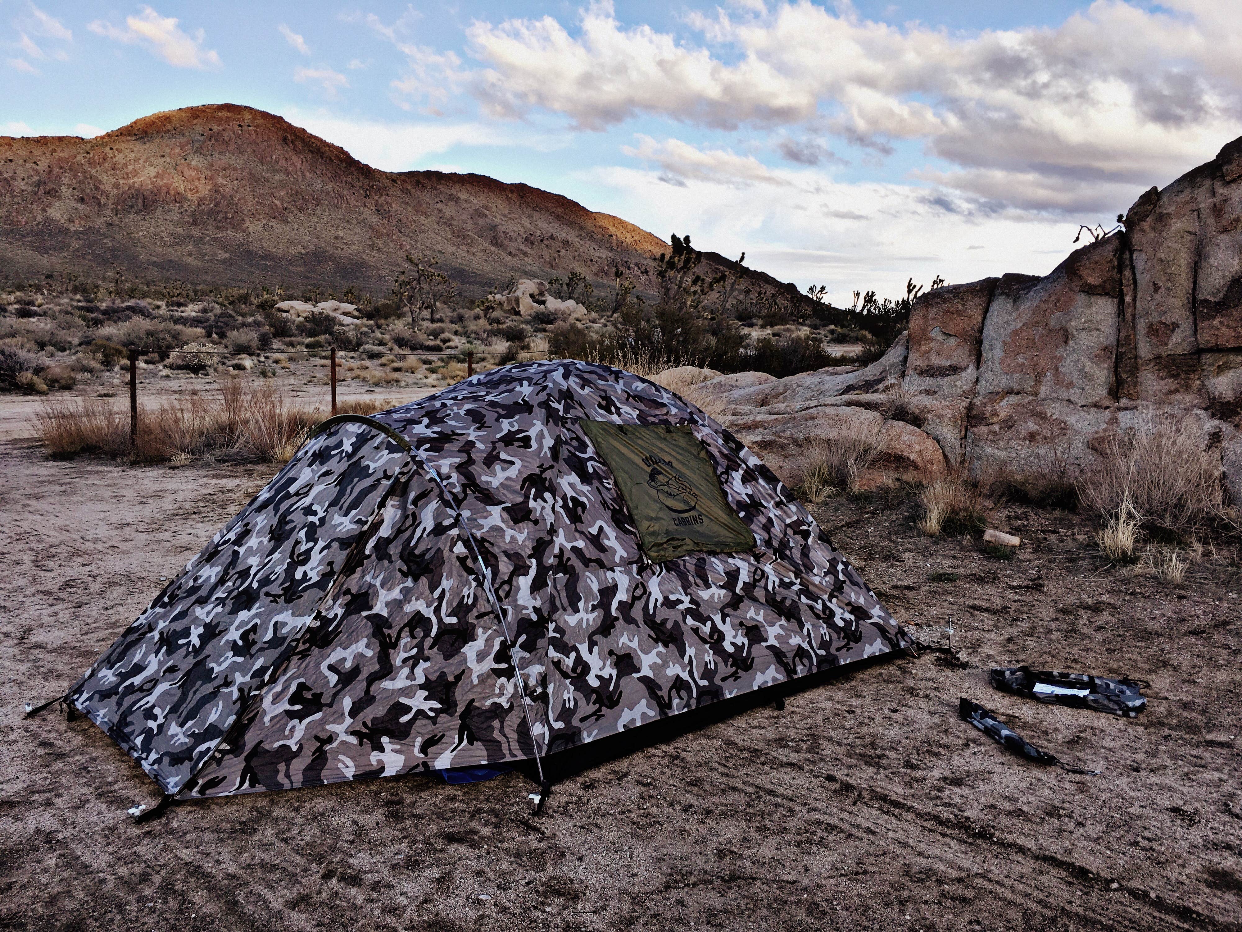 Camper submitted image from Mojave Cross Dispersed — Mojave National Preserve - 3