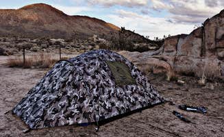 Chanel C.'s photo at Mojave Cross Dispersed — Mojave National Preserve near Mojave National Preserve