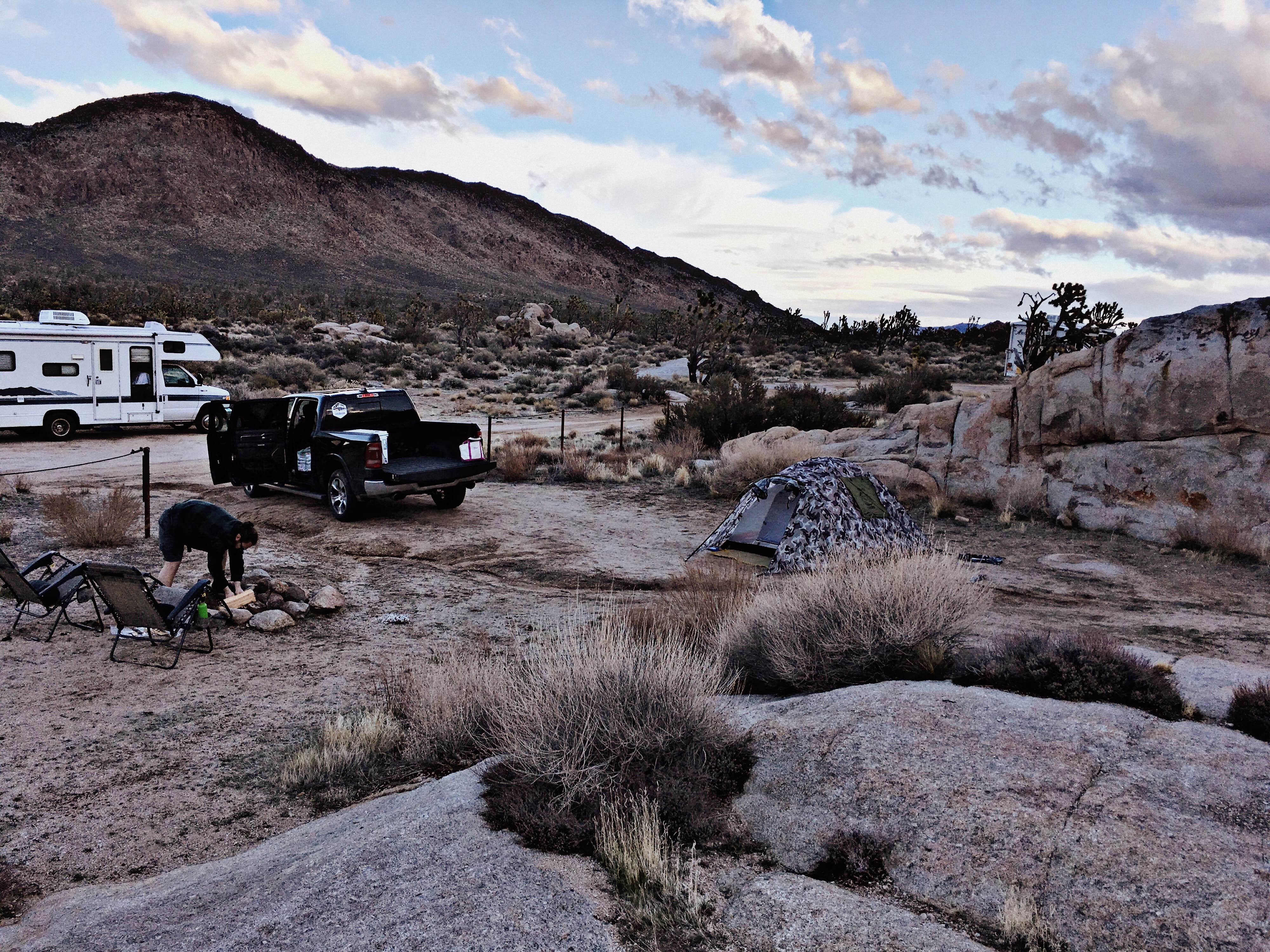 Camper submitted image from Mojave Cross Dispersed — Mojave National Preserve - 5