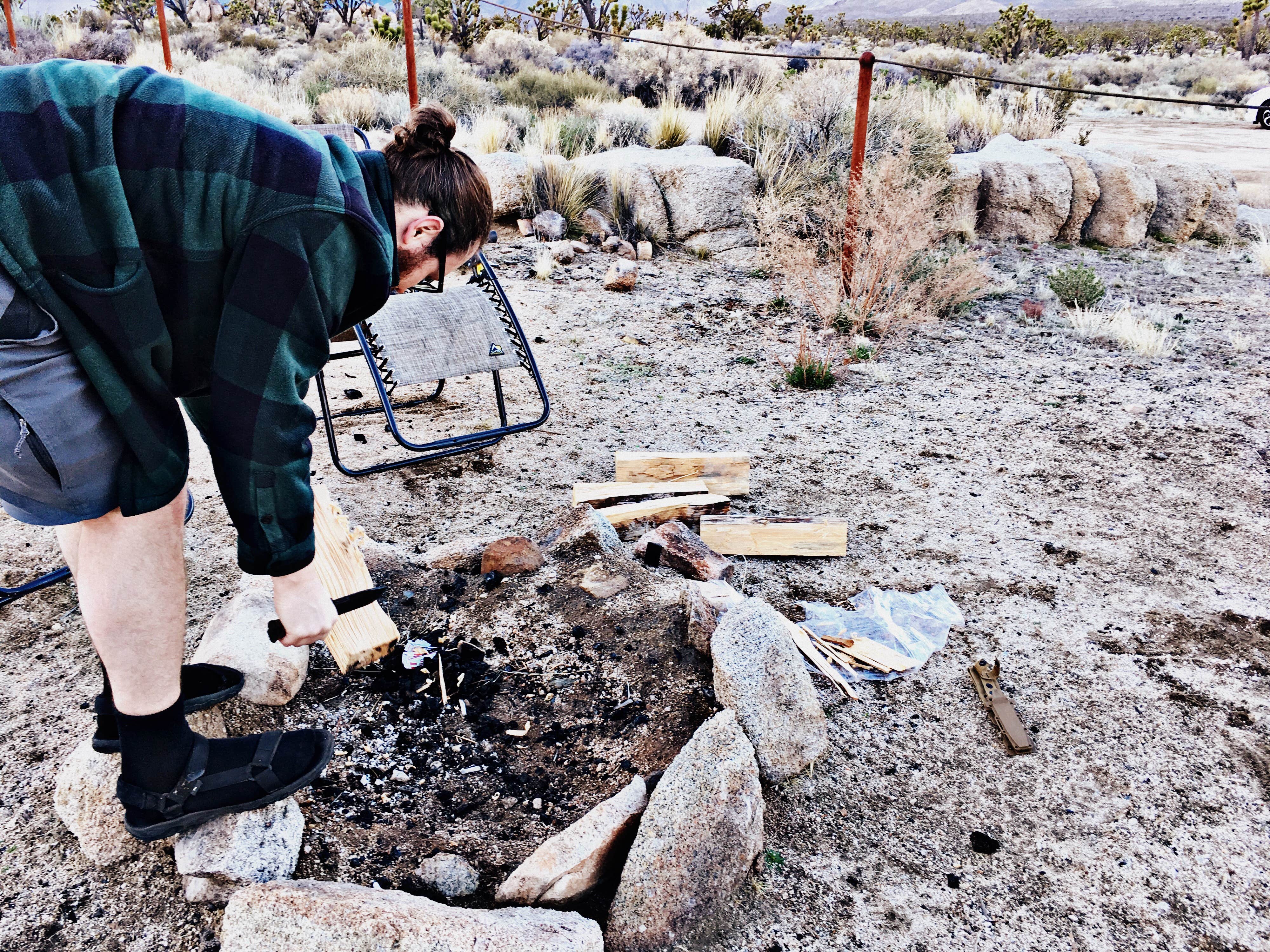 Camper submitted image from Mojave Cross Dispersed — Mojave National Preserve - 4