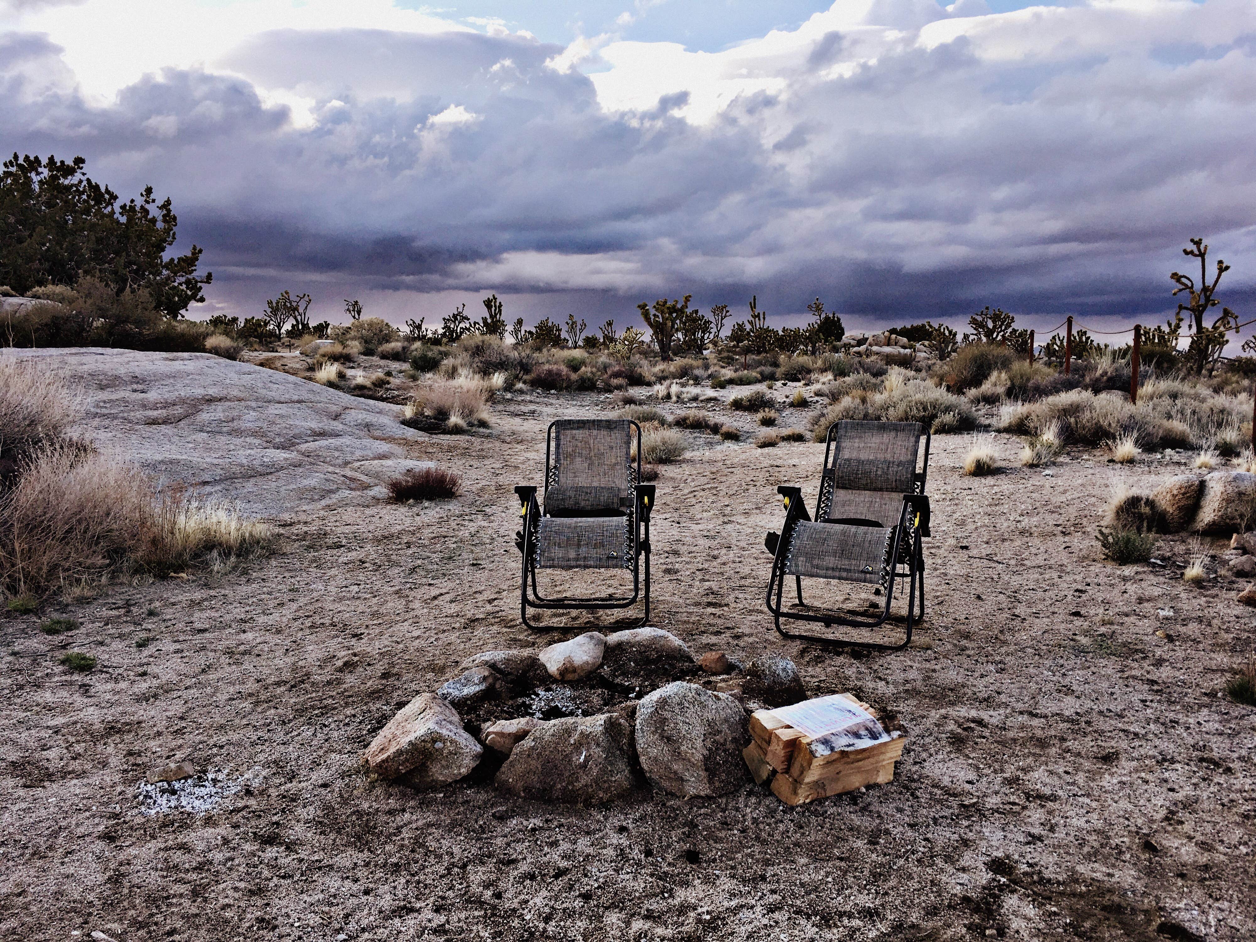 Camper submitted image from Mojave Cross Dispersed — Mojave National Preserve - 5