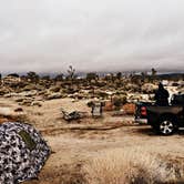 Review photo of Mojave Cross Dispersed — Mojave National Preserve by Chanel C., April 2, 2019