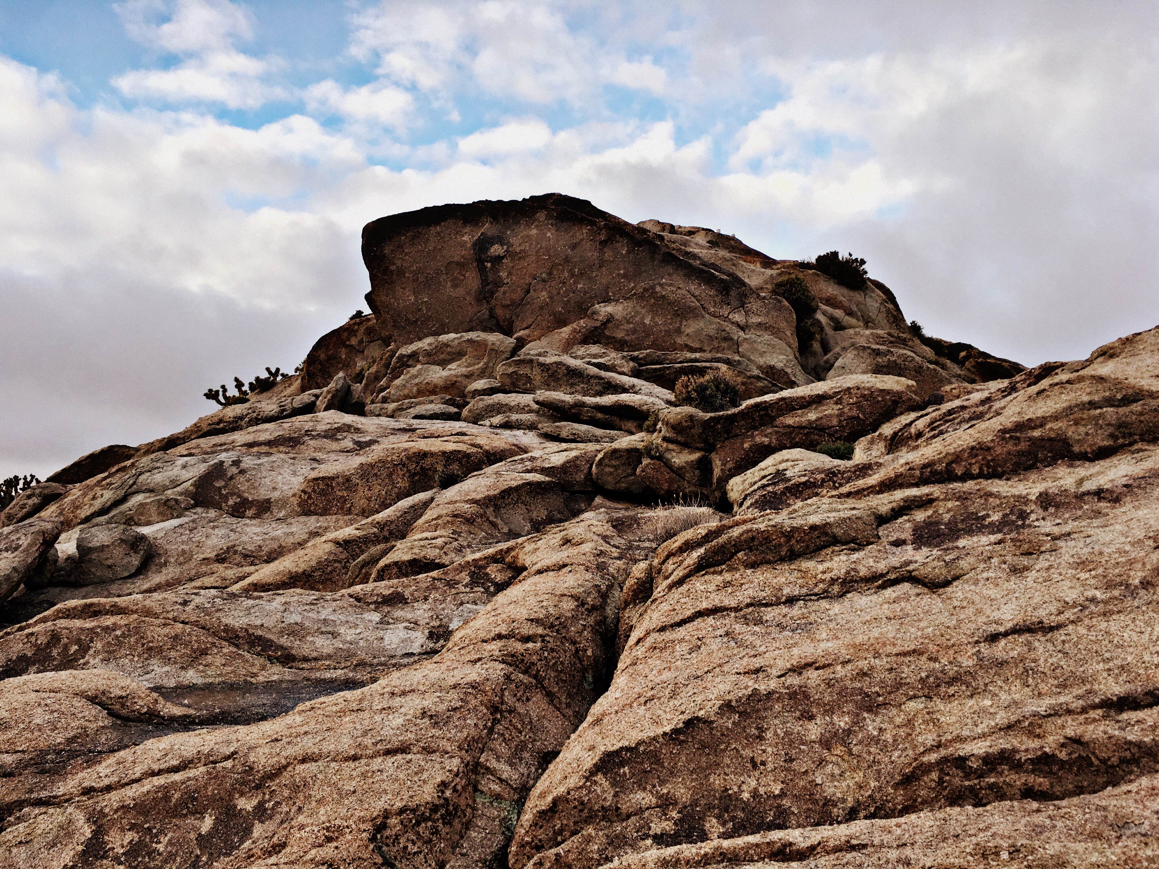 Camper submitted image from Mojave Cross Dispersed — Mojave National Preserve - 2