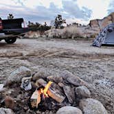 Review photo of Mojave Cross Dispersed — Mojave National Preserve by Chanel C., April 2, 2019