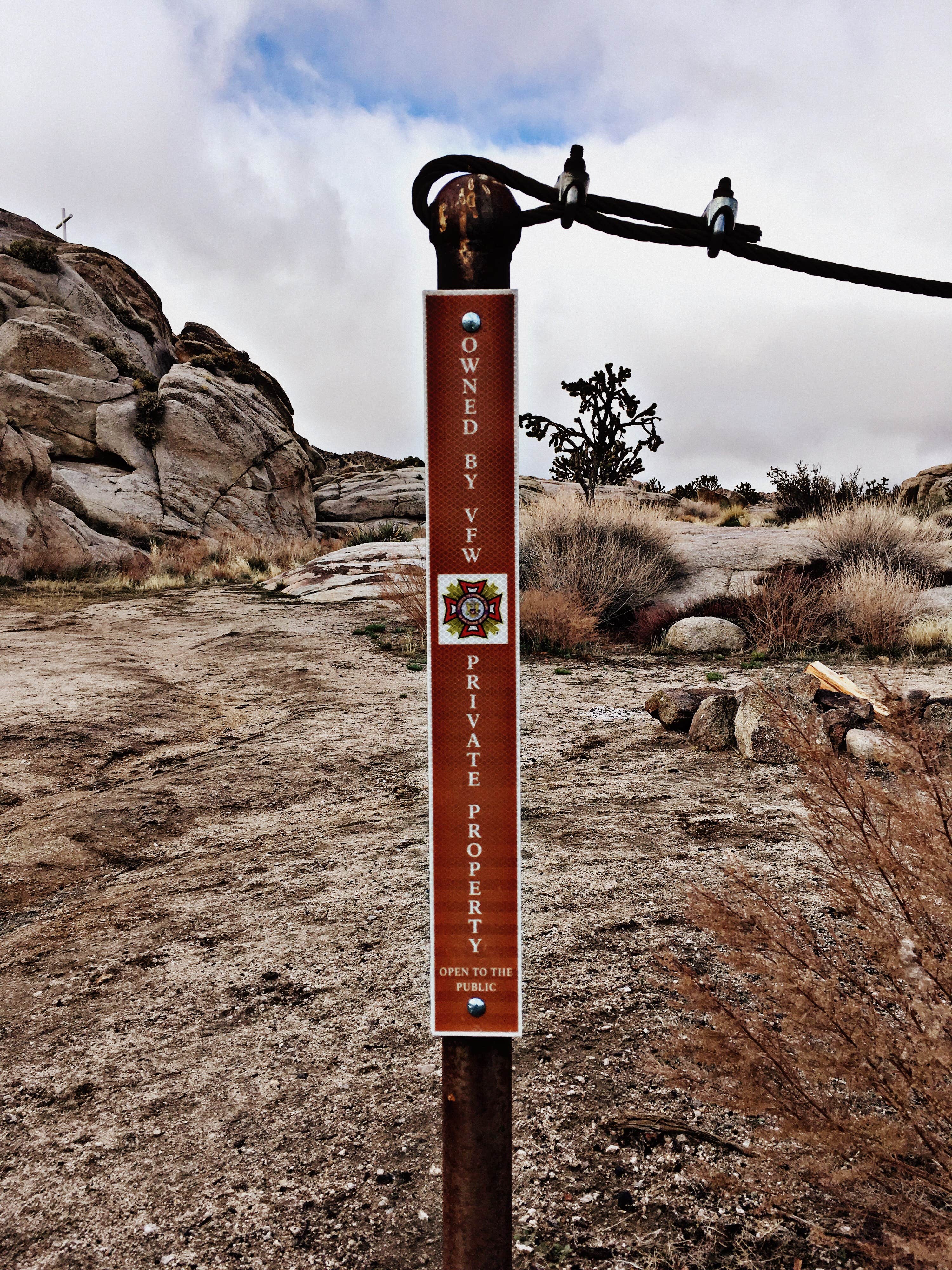 Camper submitted image from Mojave Cross Dispersed — Mojave National Preserve - 4