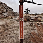 Review photo of Mojave Cross Dispersed — Mojave National Preserve by Chanel C., April 2, 2019