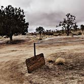 Review photo of Mojave Cross Dispersed — Mojave National Preserve by Chanel C., April 2, 2019