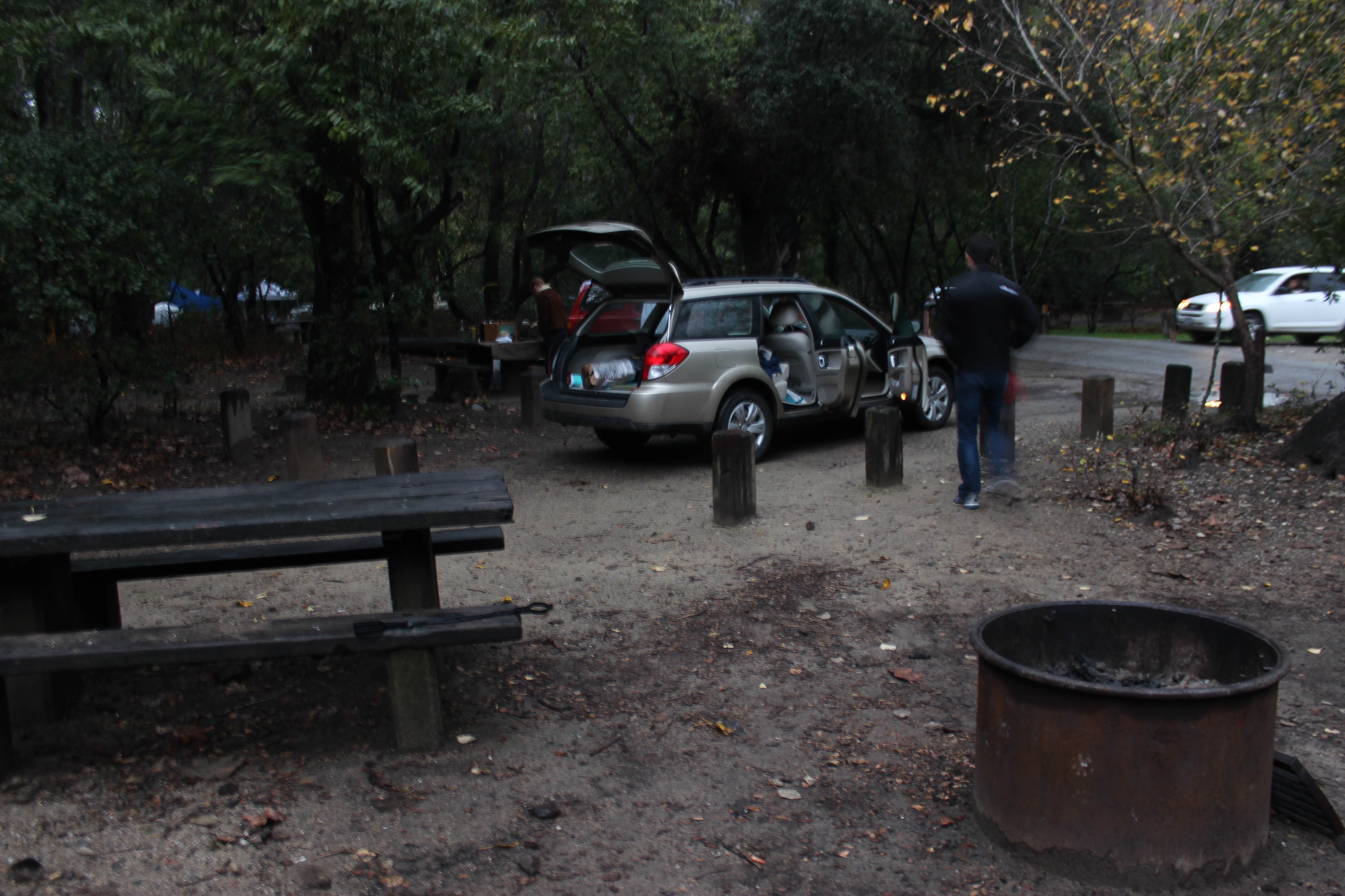 Camper submitted image from Pfeiffer Big Sur State Park Campground - 4
