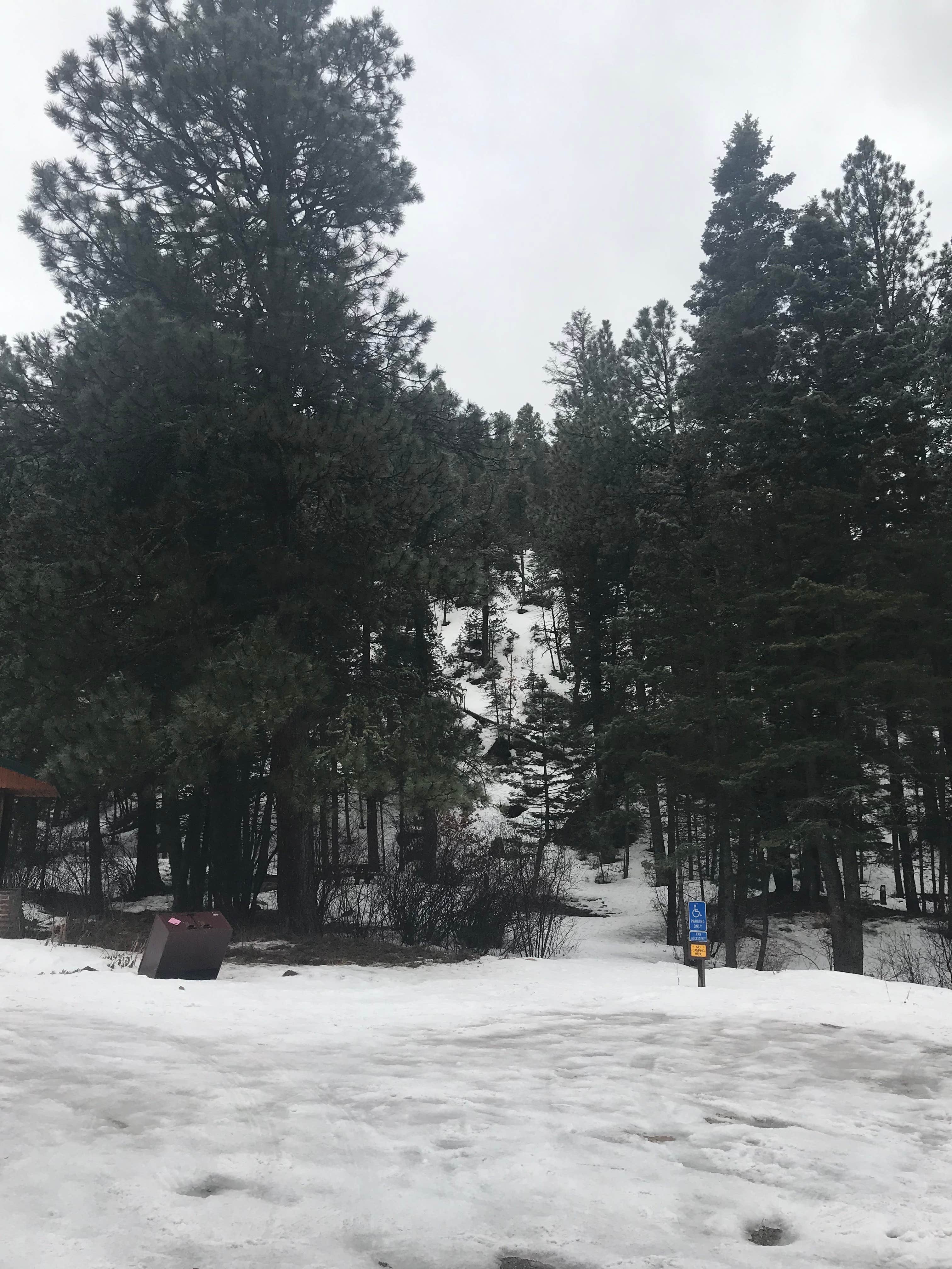 Camper-submitted photo at Hyde Memorial State Park Campground near Eldorado at Santa Fe, NM