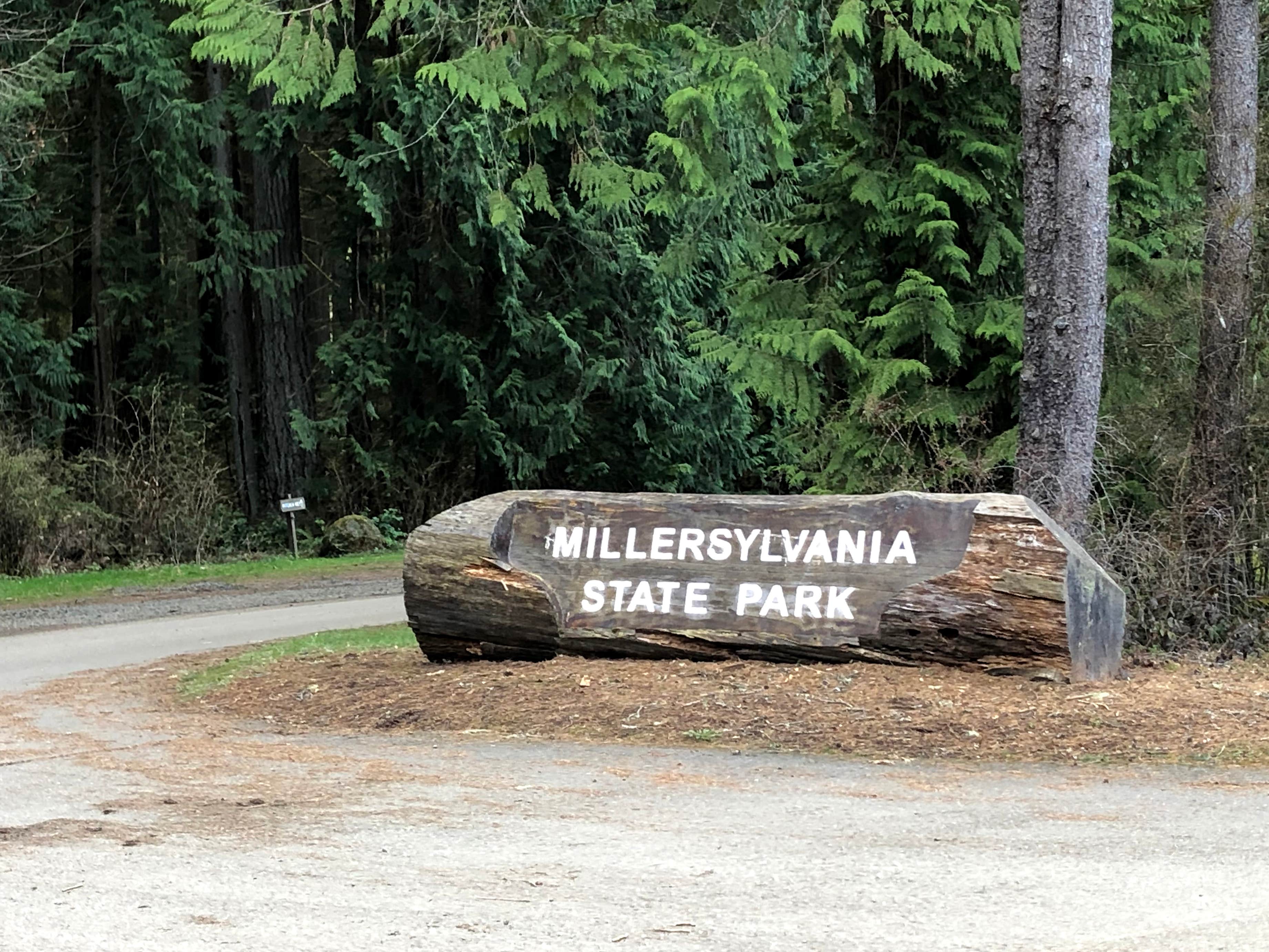 Camper-submitted photo at Millersylvania State Park Campground near Orting, WA