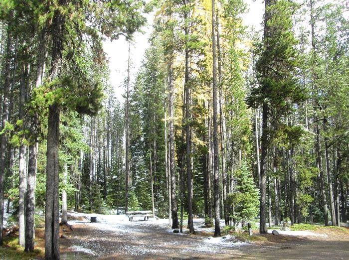 Camper submitted image from Olive Lake Campground (OR) - 2