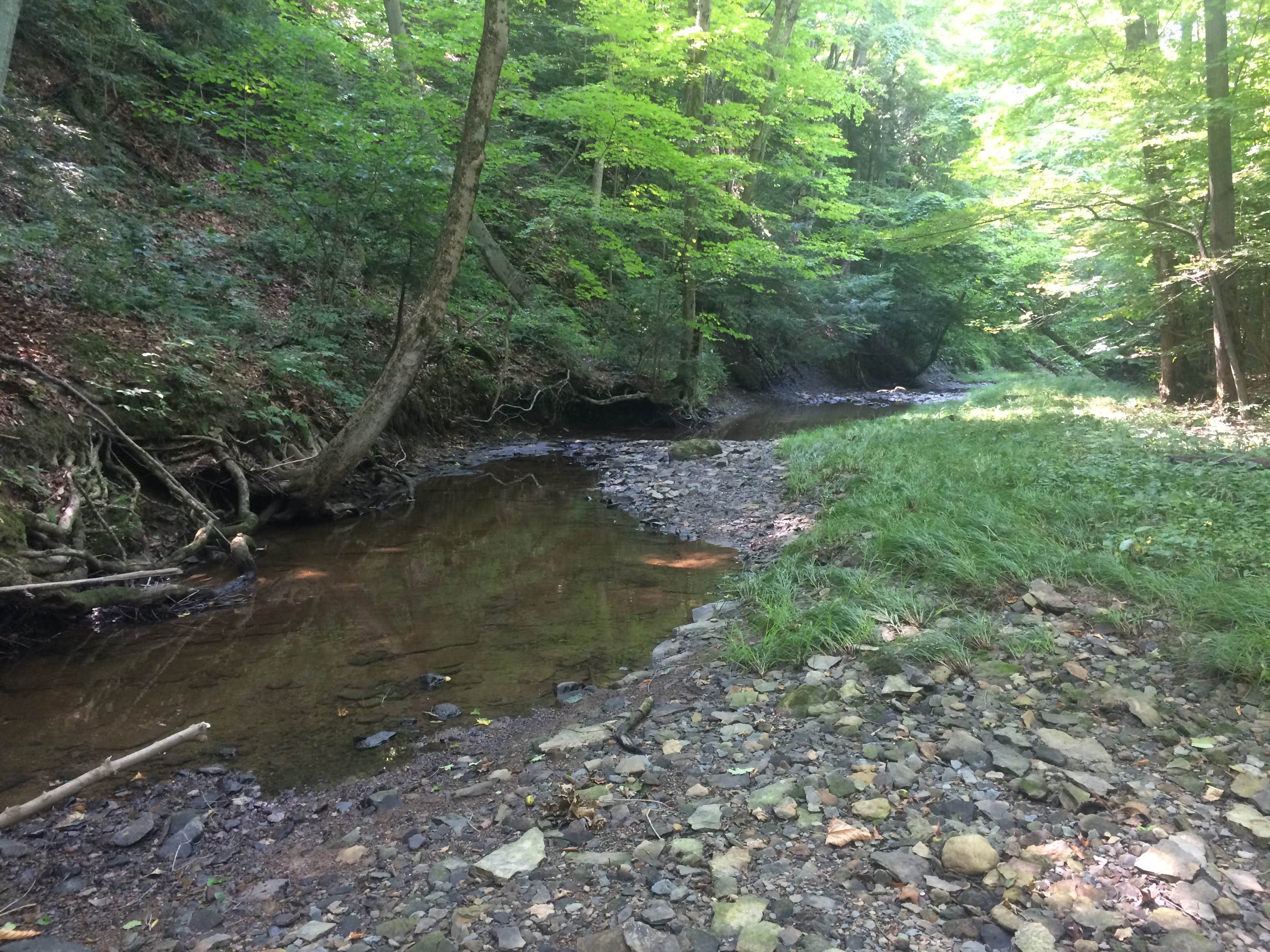 Camper-submitted photo at Sawdust FarmCamp near Geneva-on-the-Lake, OH