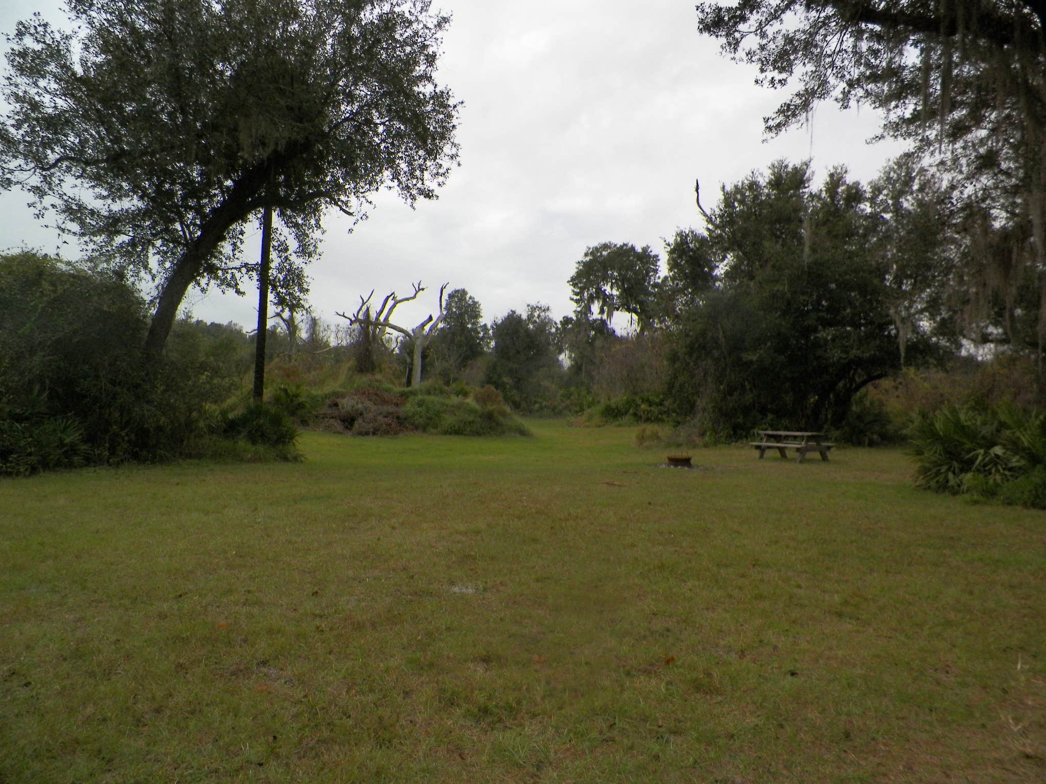 Camper submitted image from Oak Hill Campground - Peace River - 3