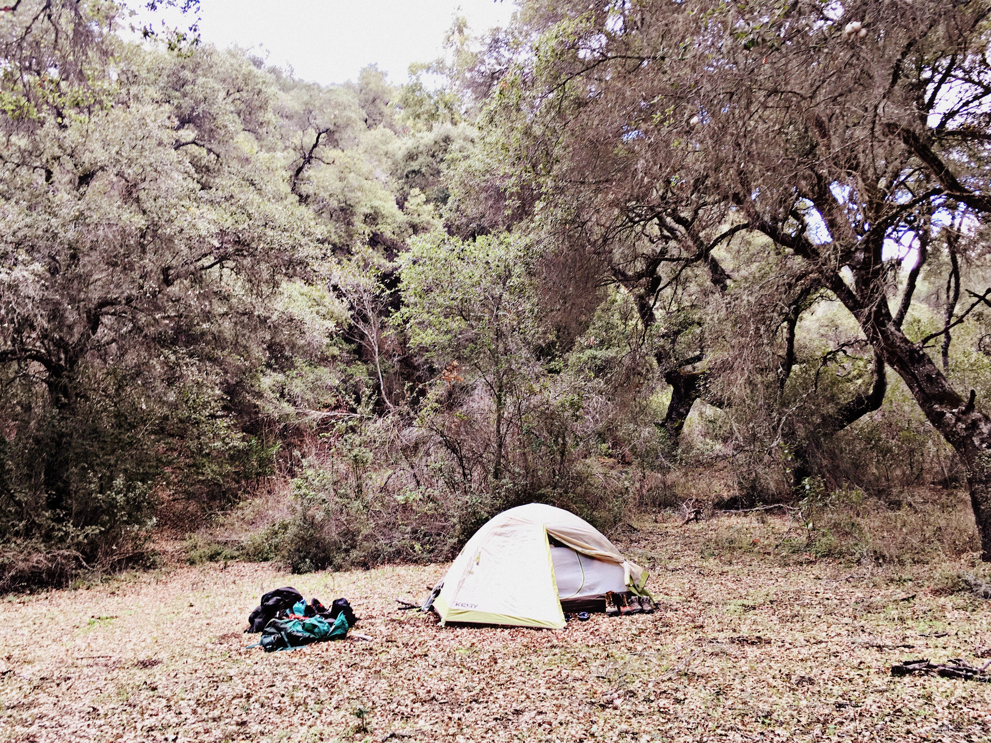 Chanel C.'s photo at Upper Lopez Campground - Permanently Closed near Nipomo, CA