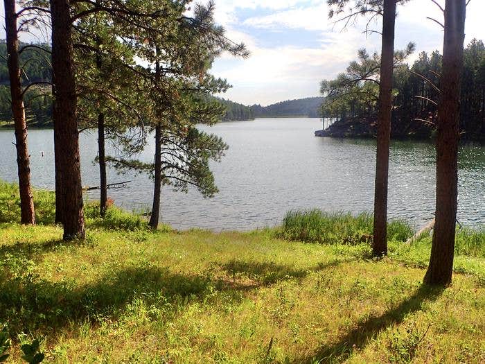 Camper submitted image from Sheridan North Cove Group Campground - 1
