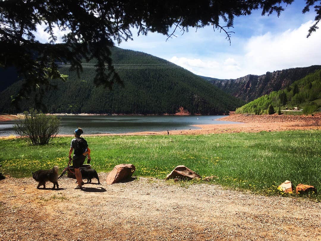 Fain H.'s photo of camping with pets at Little Maud Campground near Aspen, CO