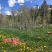 Review photo of Little Maud Campground by Fain H., April 3, 2019