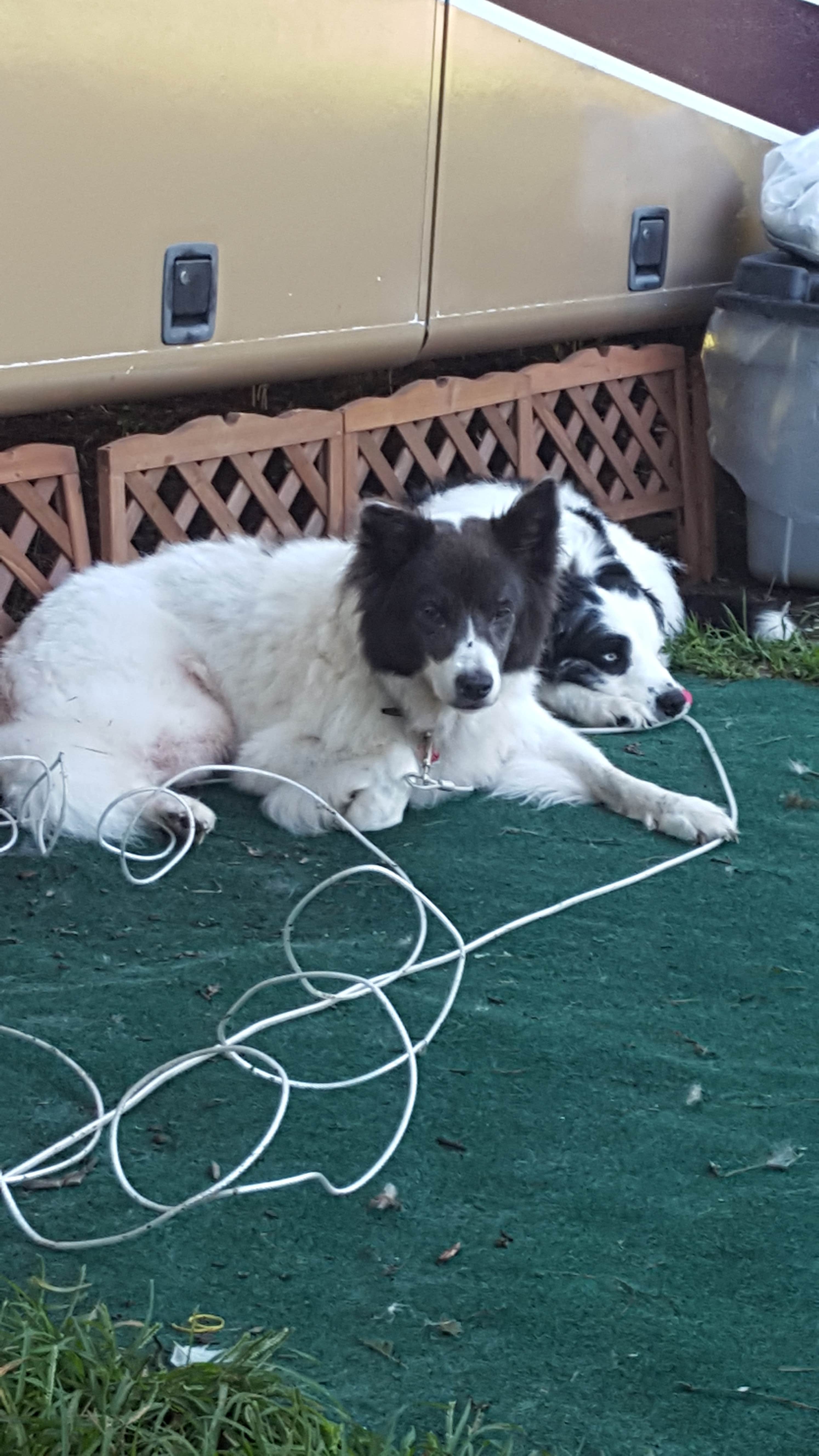 Camper-submitted photo at Camp Nelson RV Park near Stanford, KY