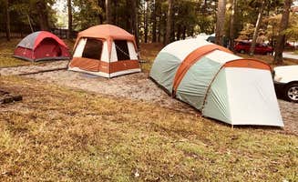 Sonyia W.'s photo at High Falls State Park Campground near Lizella, GA