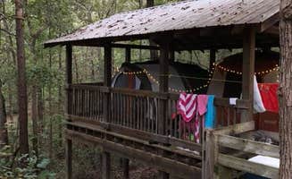 Sonyia W.'s photo of a cabin at Victoria Bryant State Park Campground near Maxeys, GA