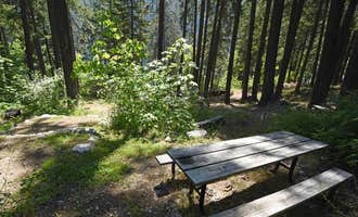 Camping near Moore Point Campground: Lakeview Campground — Lake Chelan National Recreation Area, Stehekin, Washington
