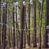 Review photo of Lake Claiborne State Park Campground by Sarah B., April 3, 2019