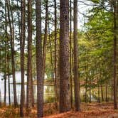 Review photo of Lake Claiborne State Park Campground by Sarah B., April 3, 2019