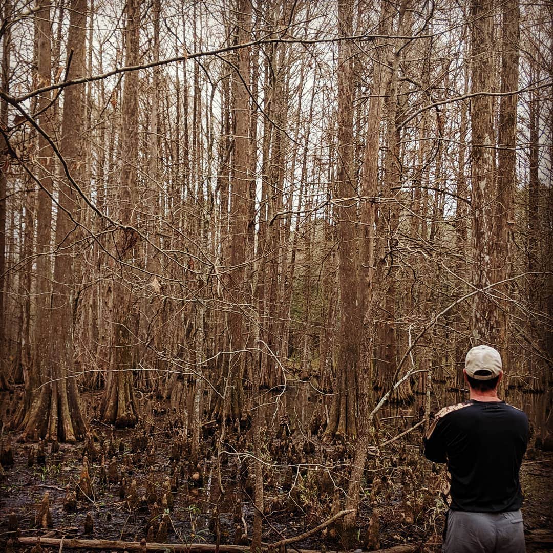 Camper-submitted photo at South Campground — Chicot State Park in Louisiana