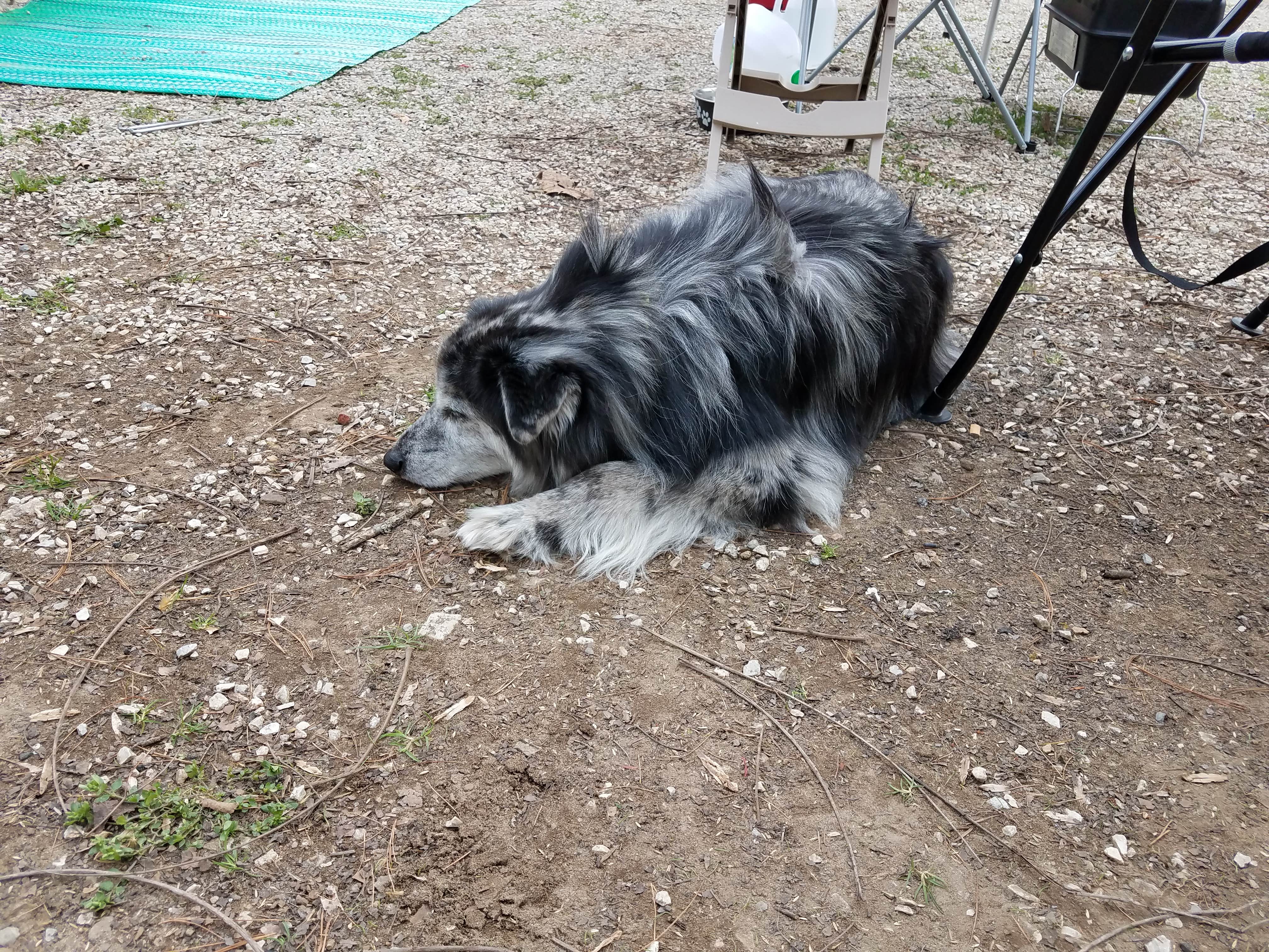 Camper-submitted photo at Middle Creek Campground near Buchanan, VA