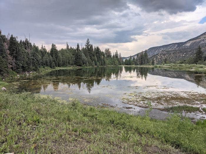 Camper submitted image from Manti Community - 5