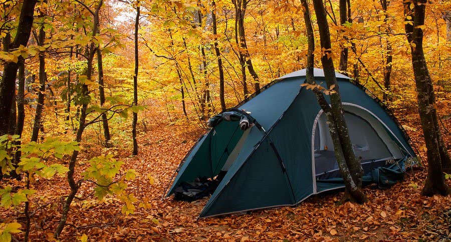 Camper submitted image from Buffalo River State Park Campground - 5
