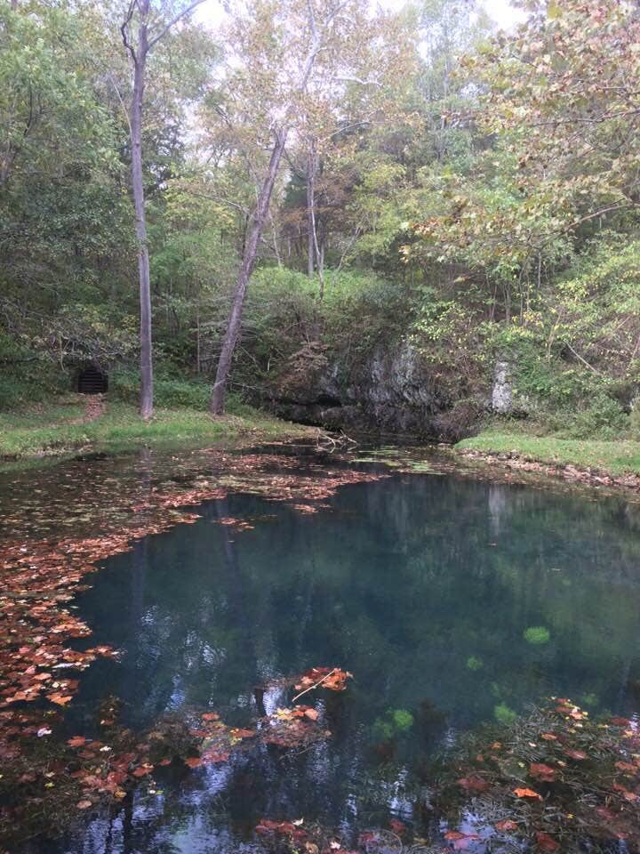 Camper-submitted photo at Onondaga Cave State Park Campground in Missouri