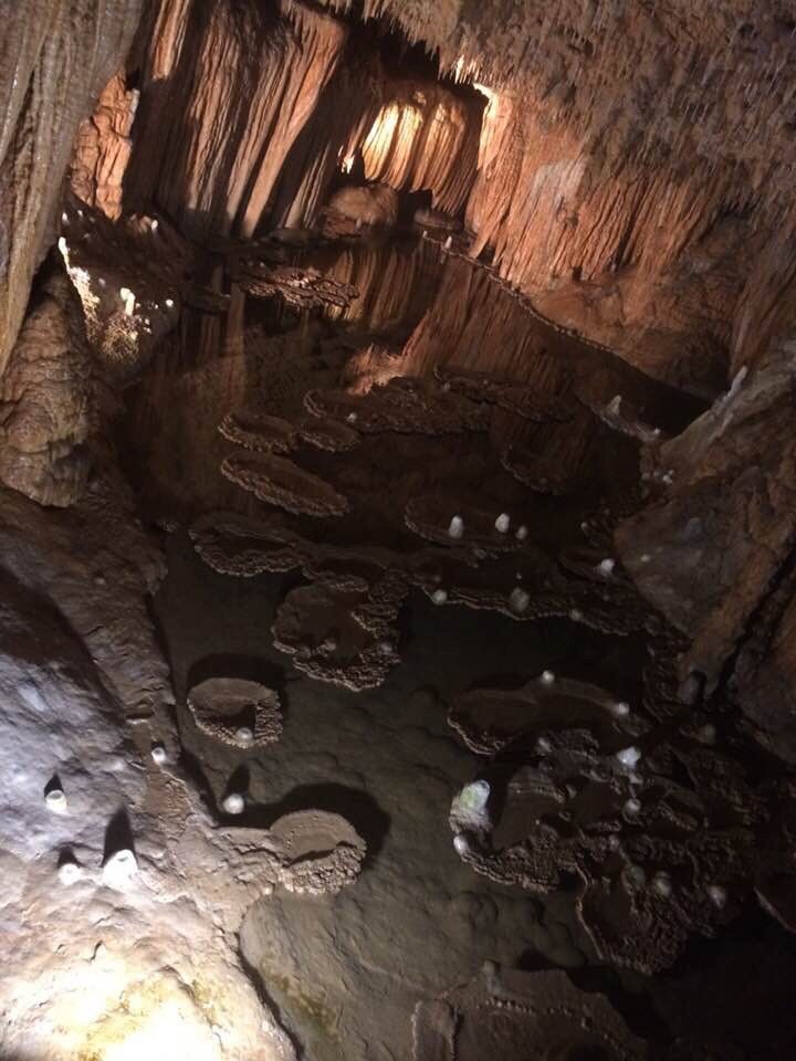 Lilypad room in Onondaga cave