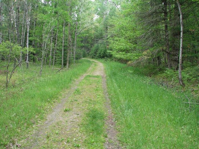 Camper submitted image from Wakeley Lake Campground — Huron Manistee National Forests - 1