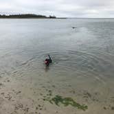 Review photo of Sun Outdoors Rehoboth Bay by April L., April 4, 2019