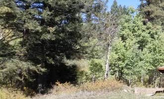 Camping near Winsor Ridge Trailhead: Holy Ghost Group Area, Tererro, New Mexico