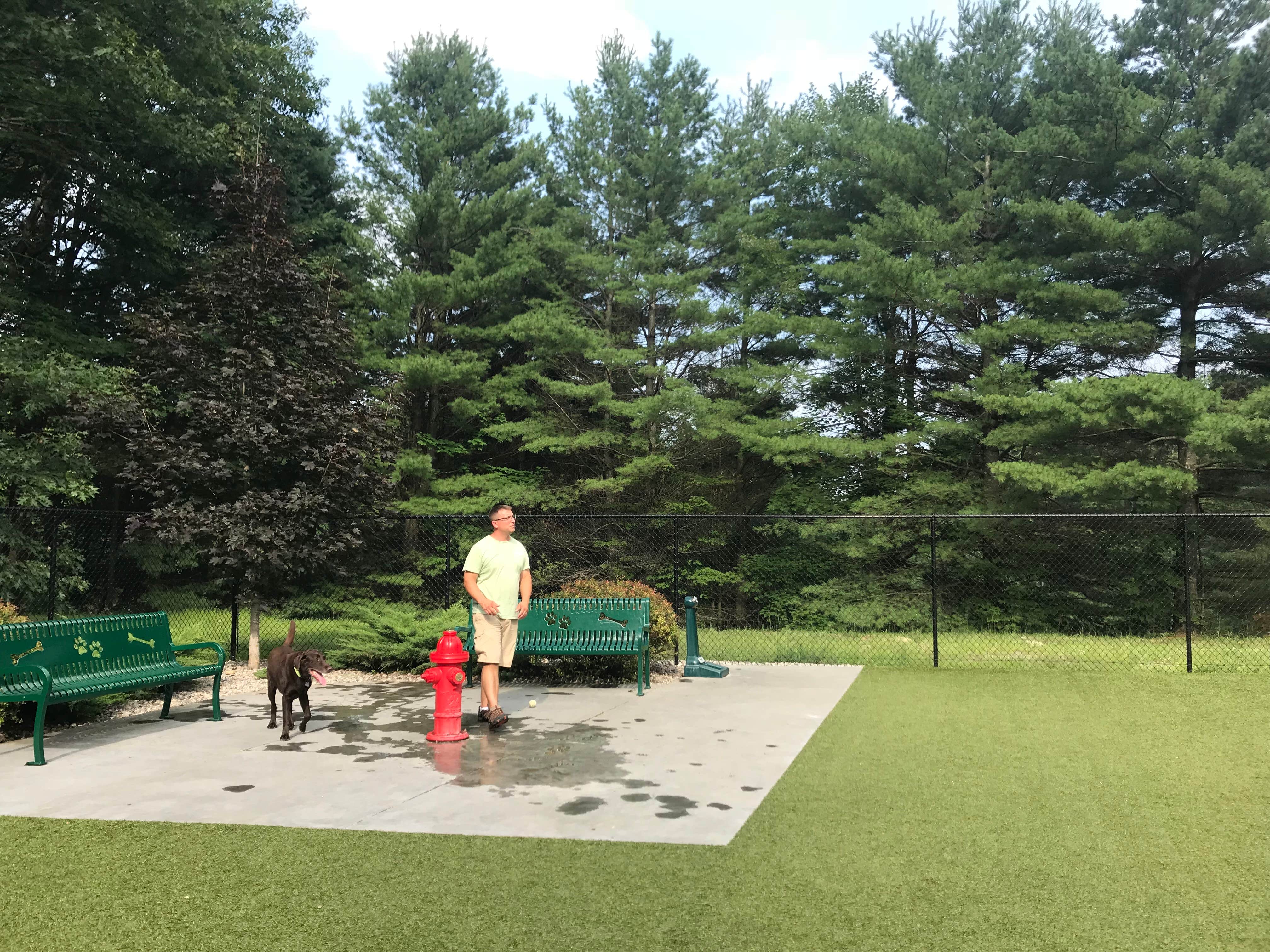 Camper submitted image from Lake George RV Park - 2