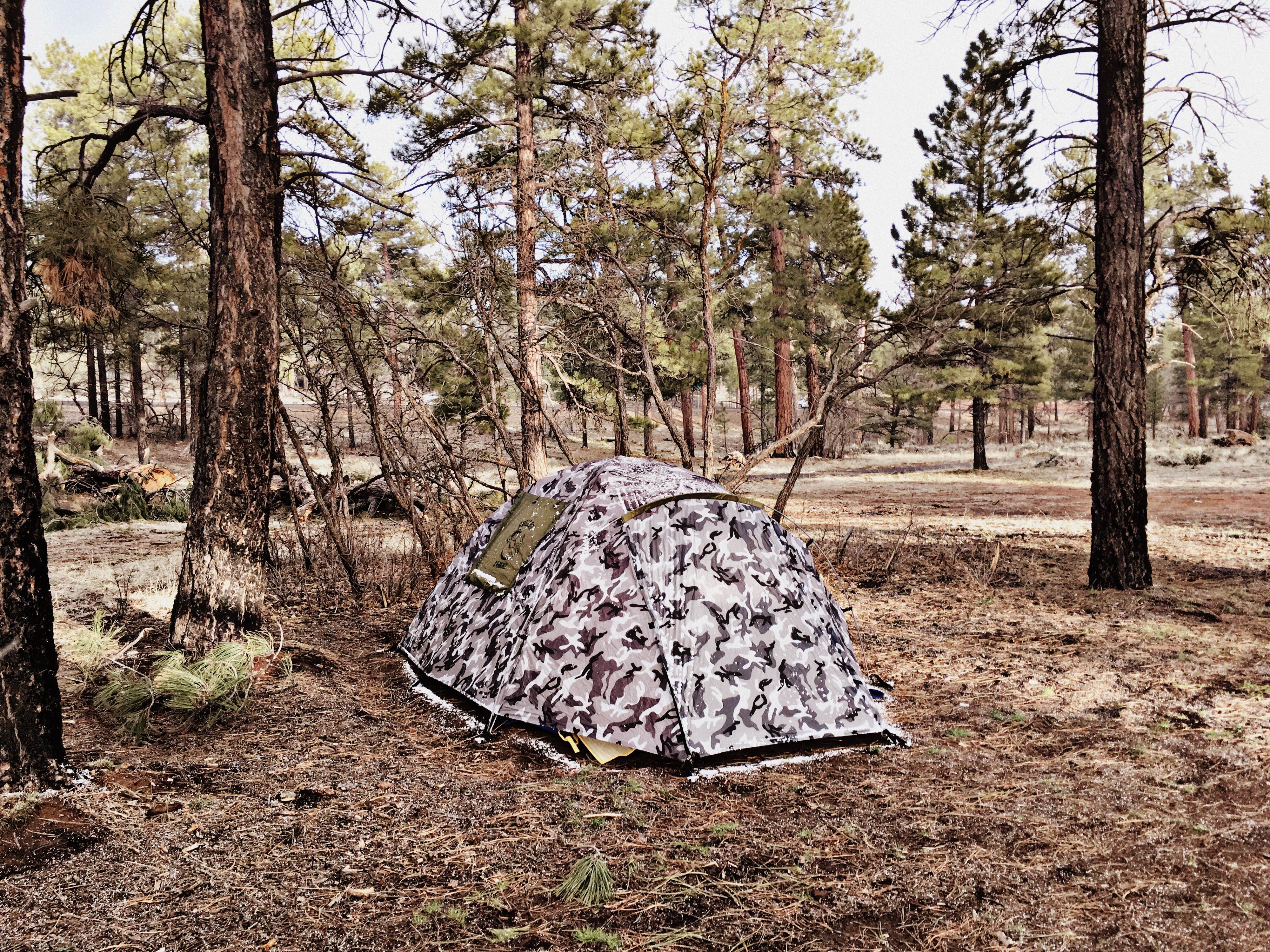 Camper submitted image from Forest Service Road 328 Dispersed - 3