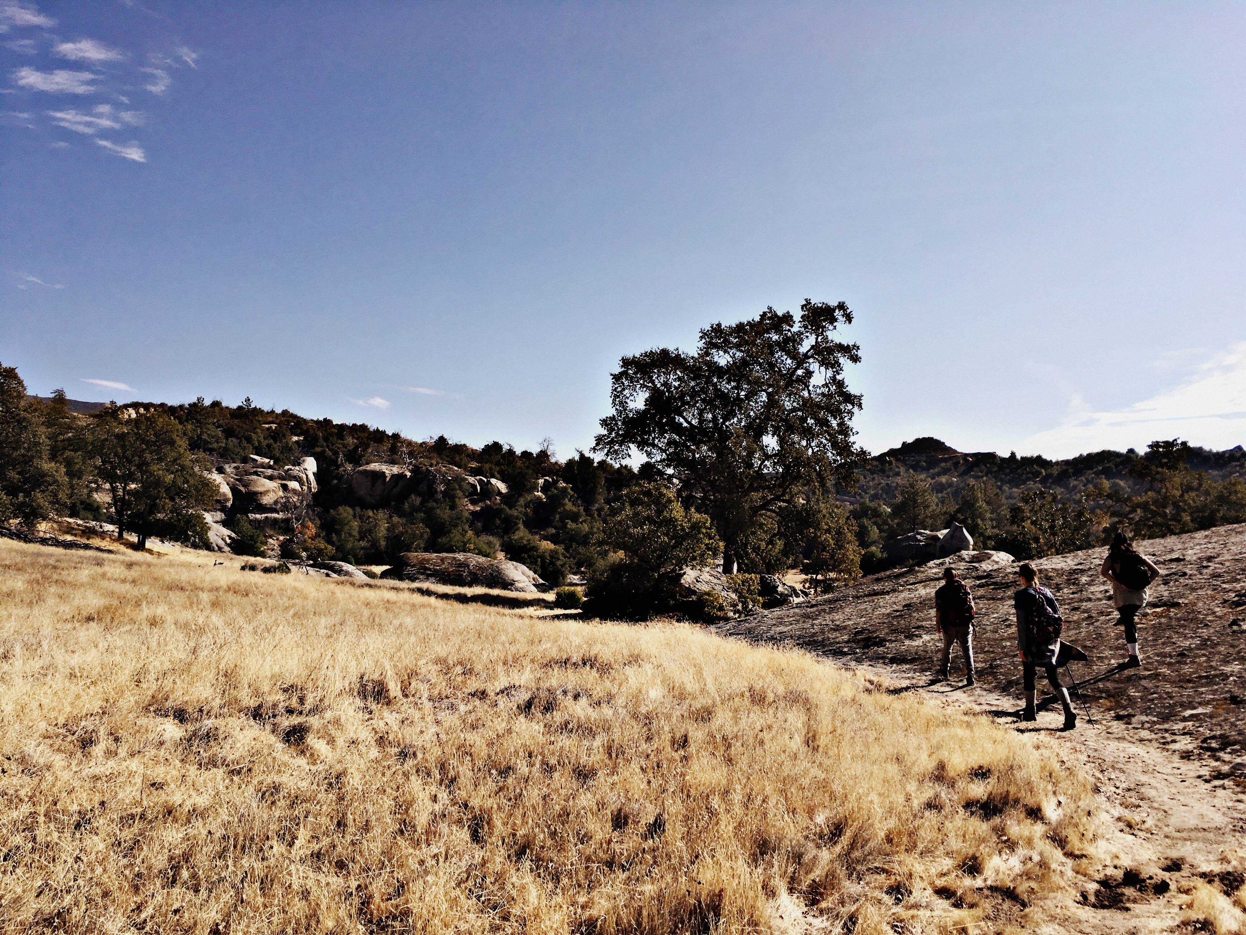 Camper submitted image from Memorial Campground - Los Padres National Forest - 3