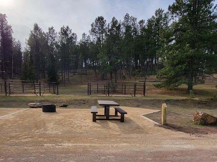 Camper submitted image from Iron Creek Horse Camp — Black Hills National Forest - 2