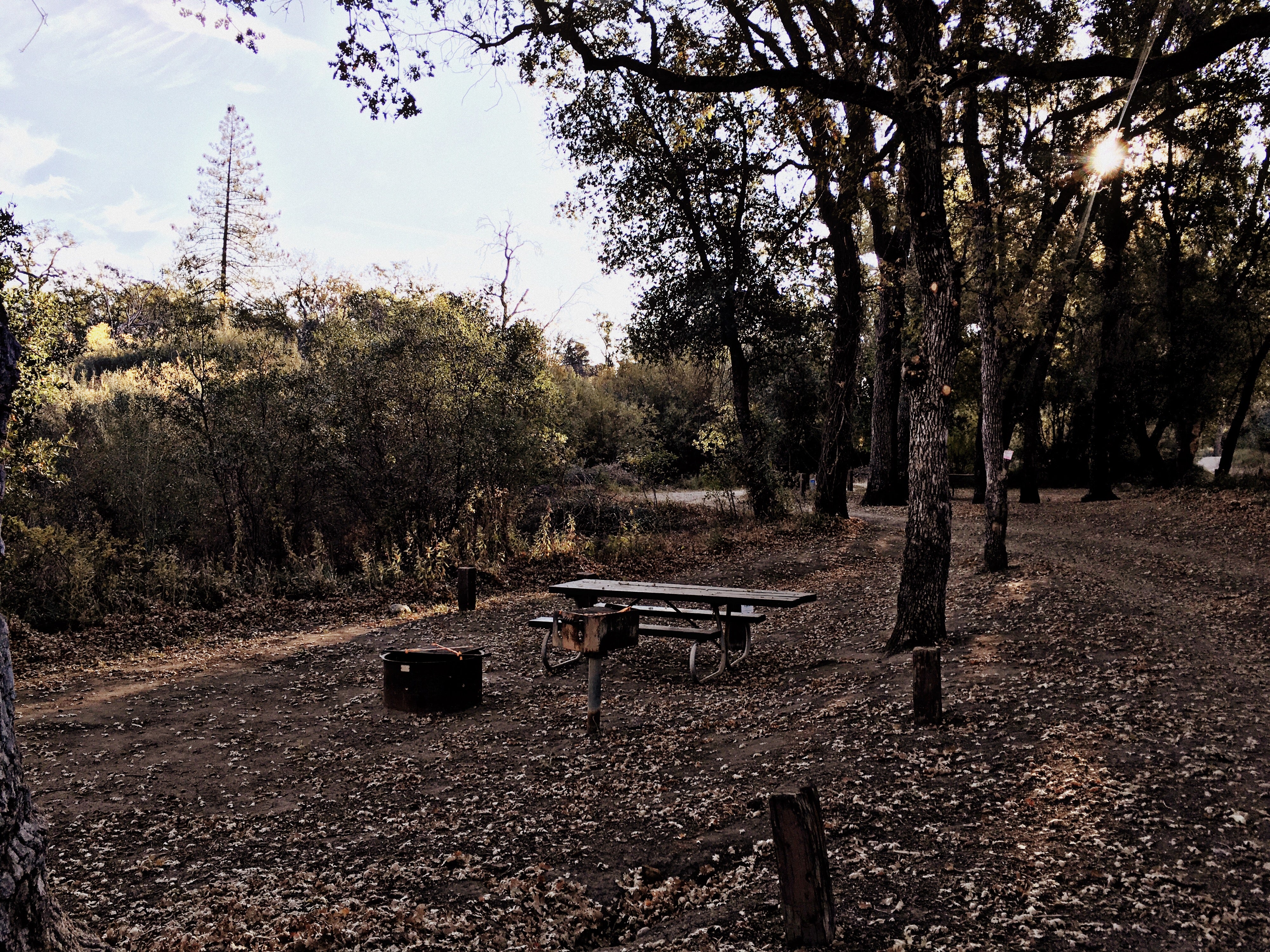 Camper submitted image from Memorial Campground - Los Padres National Forest - 3