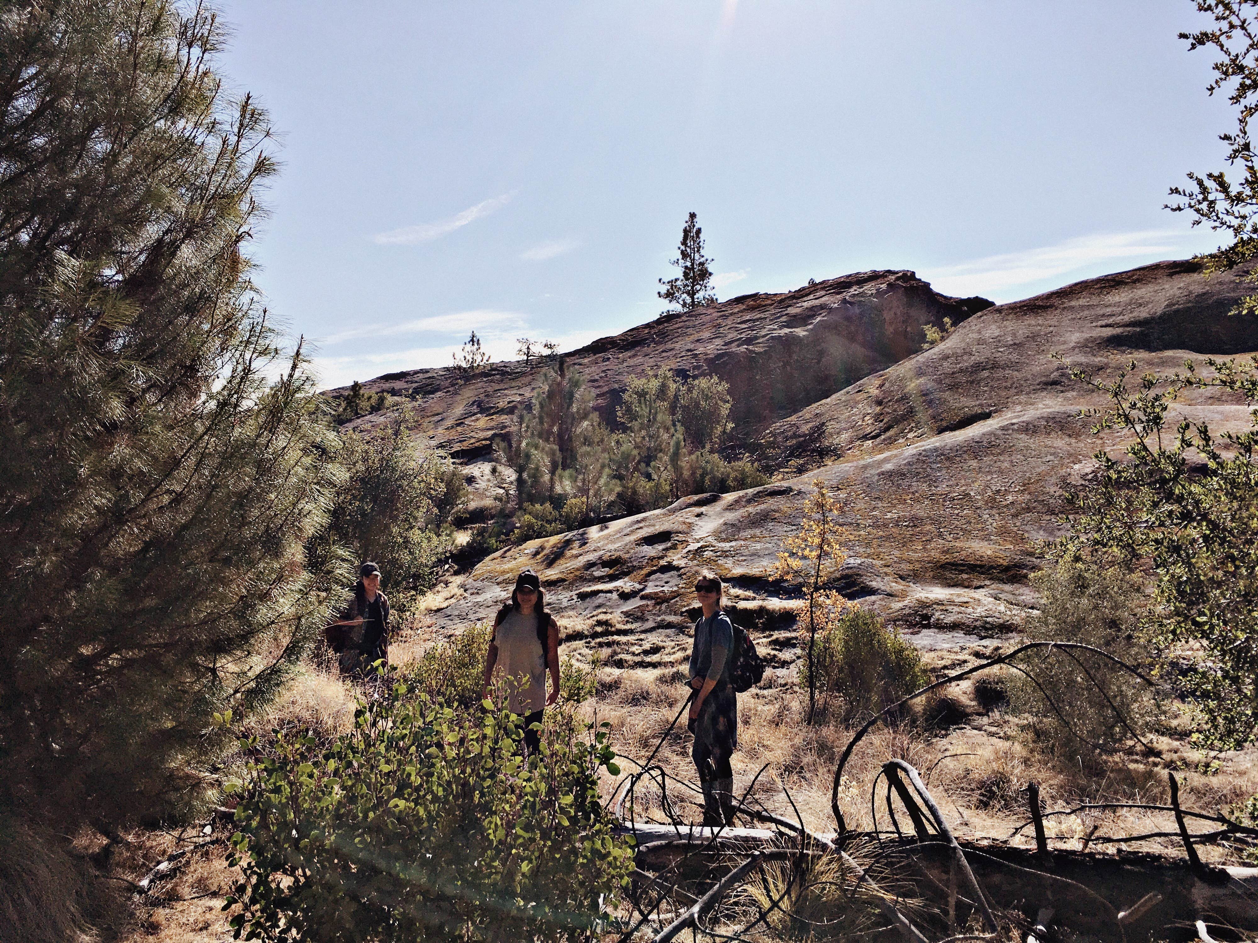 Camper submitted image from Memorial Campground - Los Padres National Forest - 2